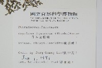 日本金粉蕨藏品圖，第2張