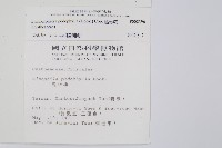 黑桫蕨藏品圖，第5張