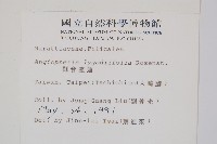 觀音座蓮藏品圖，第2張