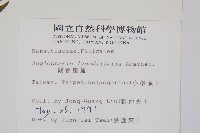 觀音座蓮藏品圖，第2張