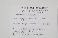 烏蕨藏品圖，第2張