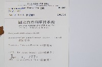 菜蕨藏品圖，第2張