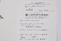 假蹄蓋蕨、東洋蹄蓋蕨藏品圖，第2張