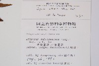 假蹄蓋蕨、東洋蹄蓋蕨藏品圖，第2張