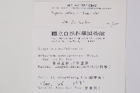 假蹄蓋蕨、東洋蹄蓋蕨藏品圖，第2張