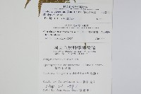 粗毛金星蕨藏品圖，第2張