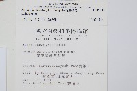 毛柄短腸蕨藏品圖，第2張