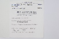 毛柄短腸蕨藏品圖，第2張