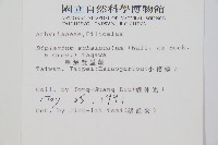 單葉雙蓋蕨藏品圖，第2張