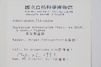 單葉雙蓋蕨藏品圖，第2張