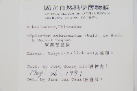 單葉雙蓋蕨藏品圖，第2張