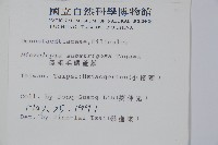 亞粗毛鱗蓋蕨藏品圖，第2張