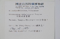 亞粗毛鱗蓋蕨藏品圖，第2張