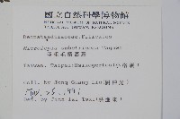 亞粗毛鱗蓋蕨藏品圖，第2張