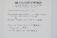 蕨藏品圖，第2張