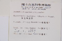 粗毛鱗蓋蕨藏品圖，第2張