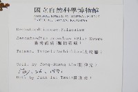 刺柄碗蕨藏品圖，第2張