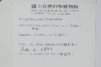 星蕨藏品圖，第2張