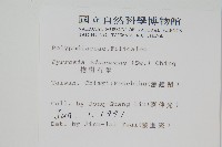 抱樹石葦藏品圖，第2張