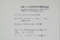 抱樹石葦藏品圖，第2張