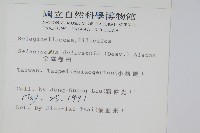 全緣卷柏藏品圖，第2張