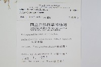 異葉卷柏藏品圖，第2張