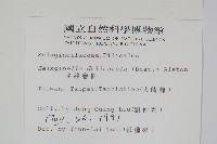 全緣卷柏藏品圖，第2張