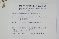 全緣卷柏藏品圖，第2張