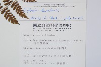 川上氏雙蓋蕨藏品圖，第2張