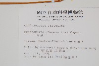 烏蕨藏品圖，第2張