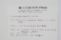 芒萁藏品圖，第2張