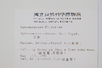 烏蕨藏品圖，第2張