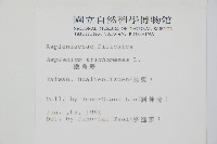 鐵角蕨藏品圖，第2張