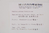 威氏鐵角蕨藏品圖，第2張