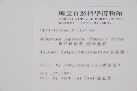 東洋蹄蓋蕨、假蹄蓋蕨藏品圖，第2張