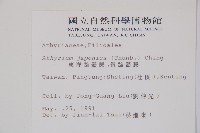 東洋蹄蓋蕨、假蹄蓋蕨藏品圖，第2張