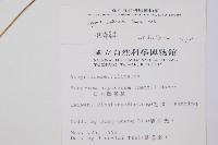 假蹄蓋蕨、東洋蹄蓋蕨藏品圖，第2張