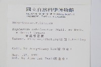 單葉雙蓋蕨藏品圖，第2張