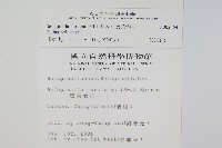 異葉卷柏藏品圖，第2張