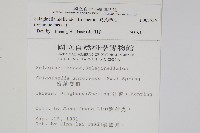 異葉卷柏藏品圖，第2張