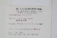 箭葉鳳尾蕨藏品圖，第2張