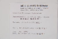 刺柄碗蕨藏品圖，第2張