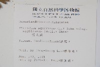 巒大蕨藏品圖，第2張