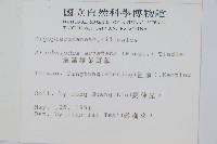 小葉複葉耳蕨藏品圖，第2張