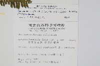 柔葉金星蕨藏品圖，第2張