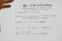 生芽狗脊蕨、頂芽狗脊蕨藏品圖，第2張