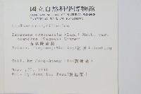 海島陵齒蕨藏品圖，第2張