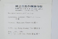 石葦藏品圖，第2張