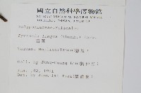 石葦藏品圖，第2張