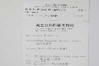 臺灣粉背蕨藏品圖，第2張